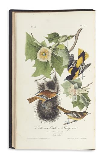 AUDUBON, JOHN JAMES. The Birds of America.